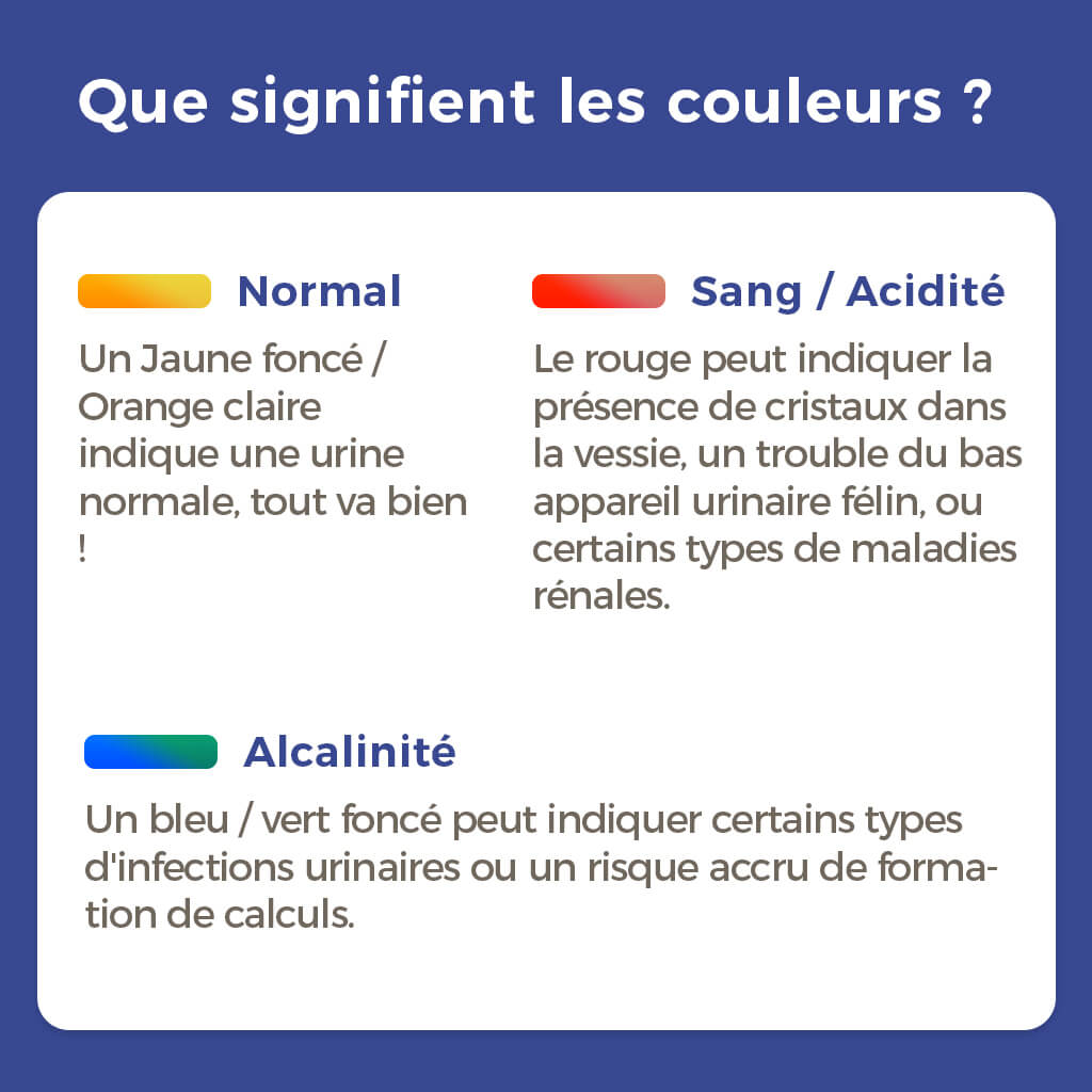 La Litière Pacha™ (Livraison mensuelle) - Duplicate