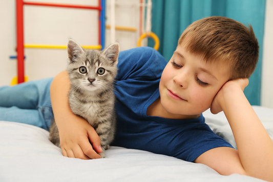 Jeune garçon souriant allongé dans sa chambre avec un chaton gris près d’un espace de jeux – Litière Pacha