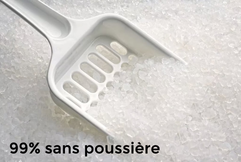 5. Elle est 99% Sans Poussière