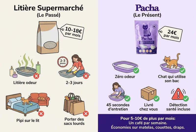 Comparaison du coût mensuel — bougies, sprays, purificateur d'air vs un sac Pacha. Environ 150 € économisés sur l'année