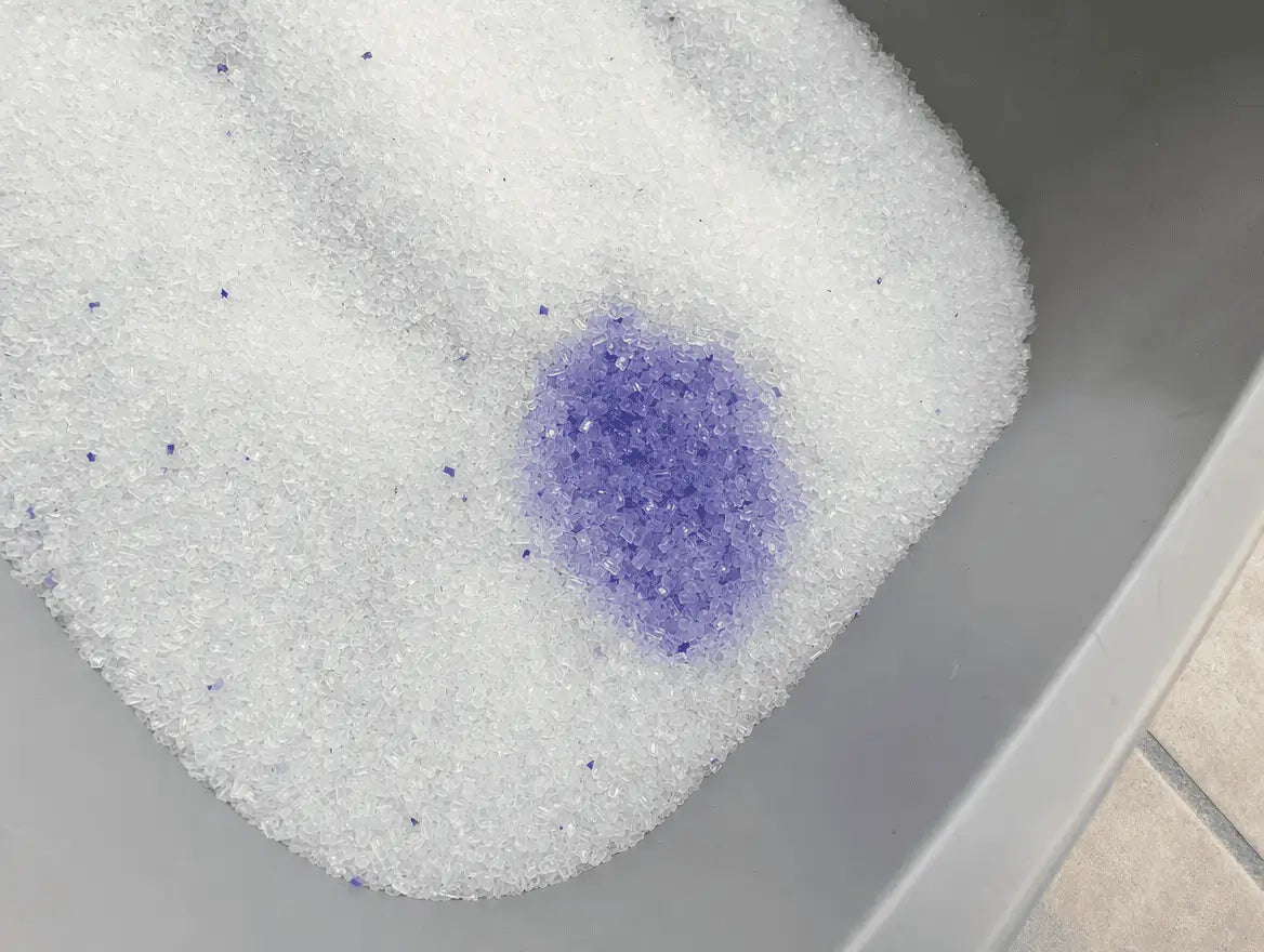 Cristaux Pacha blancs avec une zone ayant viré bleu-violet dans un coin du bac — signal de possible problème urinaire
