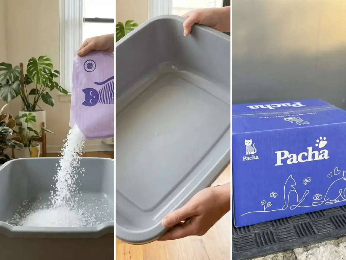 Triptyque Pacha au quotidien : versement du sac dans le bac sans poussière, bac léger soulevé d'une main, carton de livraison Pacha à la porte