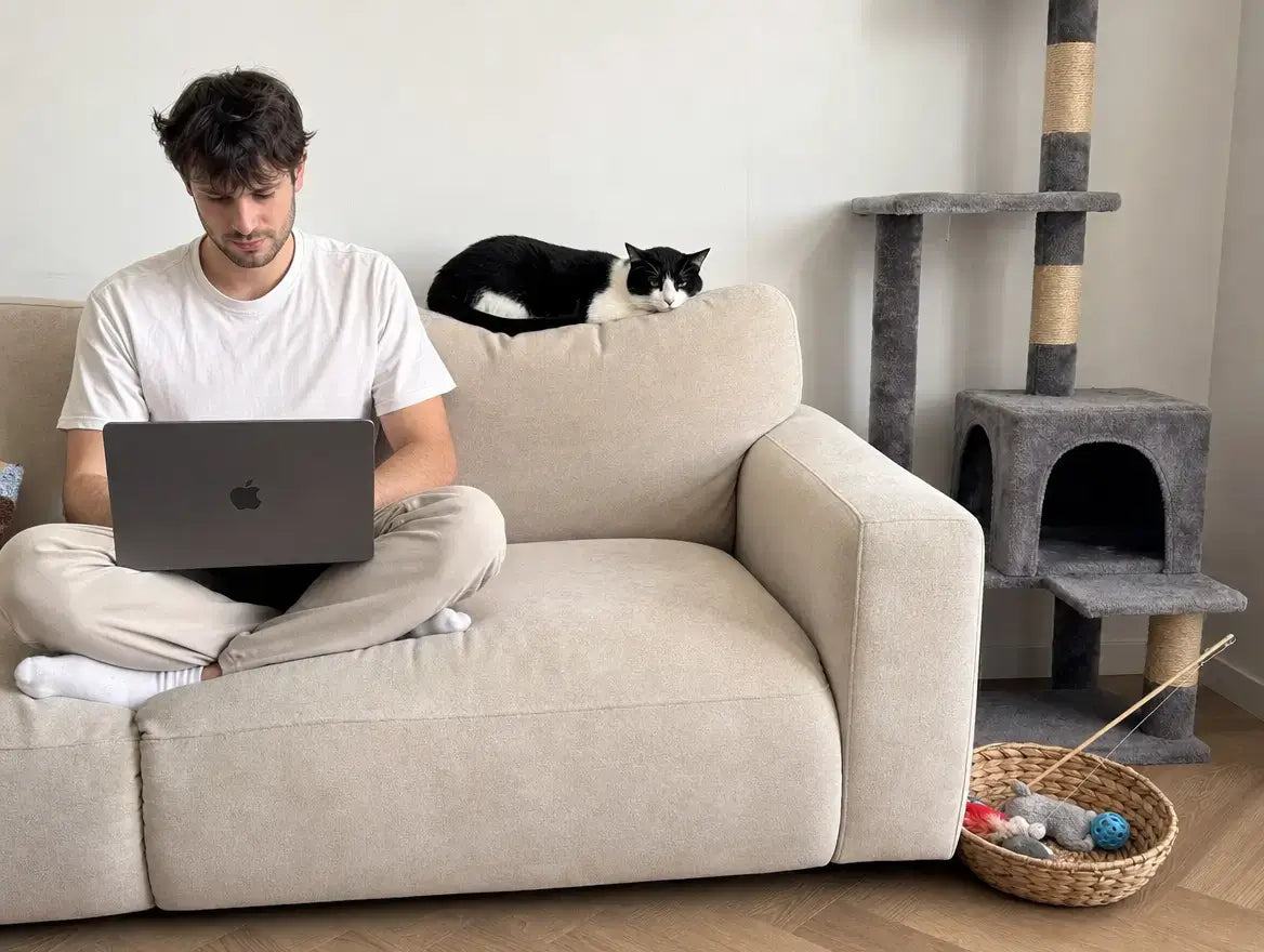 Salon parisien — chat tigré gris en plein jeu avec le jouet accordéon stimulant, sac de litière Pacha + bac à litière visibles en arrière-plan, mug de café et livre ouvert sur la table basse