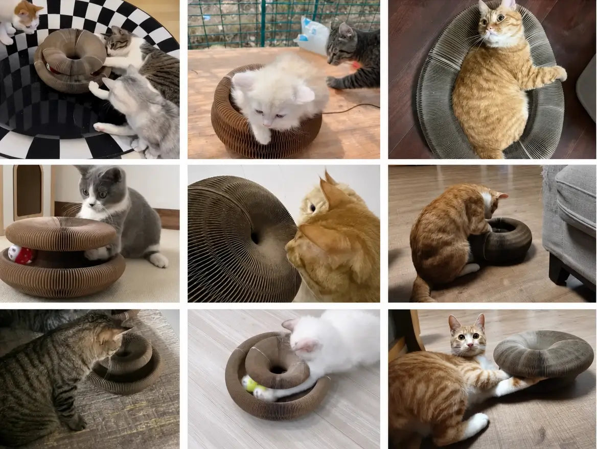 Mosaïque de 9 photos clients montrant différents chats (chatons, persans, tigrés, roux, noirs et blancs) en train de jouer avec le jouet accordéon stimulant dans leur intérieur