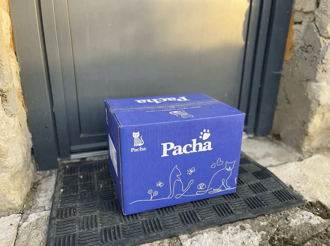 Carton de livraison Pacha devant la porte