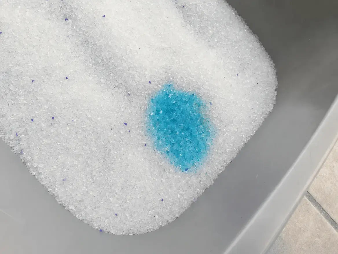 Gros plan sur les cristaux de litière Pacha virés au bleu — la zone que Marion découvre le matin de l'alerte