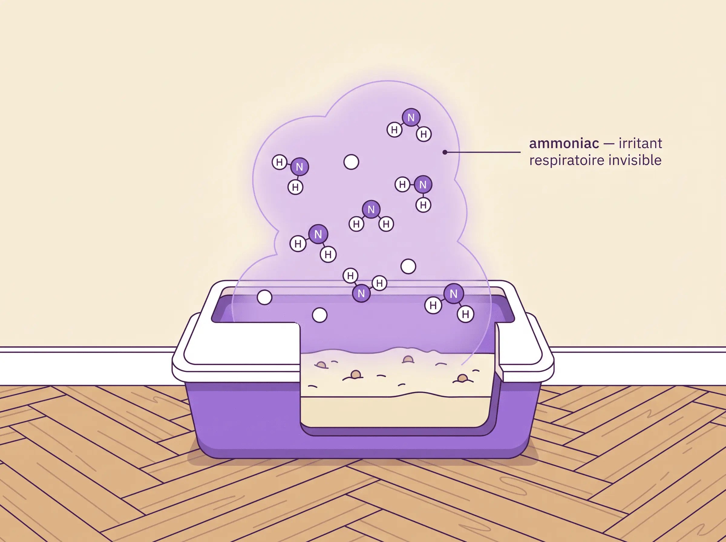 Illustration scientifique : molécules d'ammoniac NH3 invisibles se dégageant d'un bac à litière